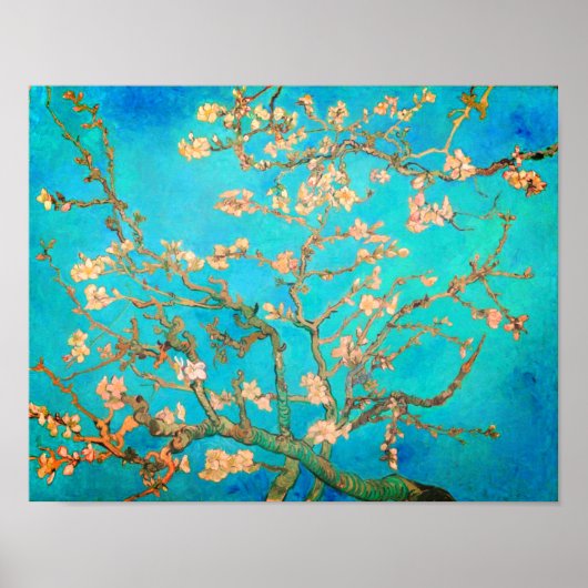 Van Gogh Almond Blossoms Poster (Vorne)