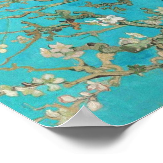 Van Gogh Almond Blossoms Poster (Ecke)