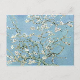 Van Gogh Almond Blossoms Postkarte