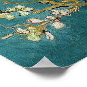 Van Gogh Almond Branches in Bloom Poster (Ecke)