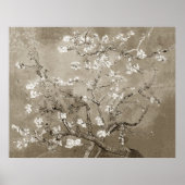 Van Gogh Almond Branches in Bloom - Sepia Poster (Vorne)