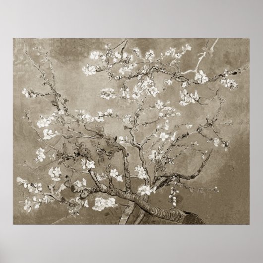 Van Gogh Almond Branches in Bloom - Sepia Poster (Vorne)