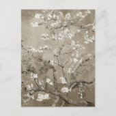 Van Gogh Almond Branches in Bloom - Sepia Postkarte (Vorderseite)