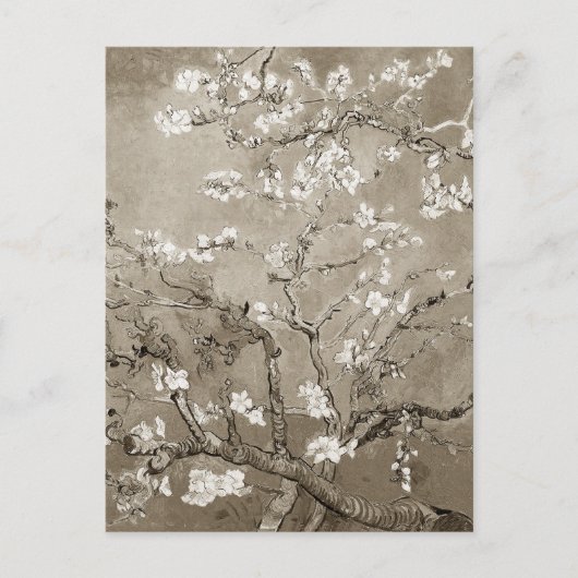 Van Gogh Almond Branches in Bloom - Sepia Postkarte (Vorderseite)