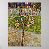 Van Gogh - Almond Tree in Blossom, beliebte Kunstw Poster (Vorne)