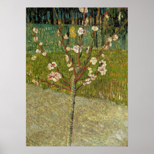 Van Gogh - Almond Tree in Blossom Poster