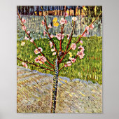 Van Gogh - Almond Tree in Blossom Poster (Vorne)