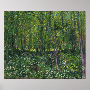 Van Gogh - Bäume und Unterholz Poster
