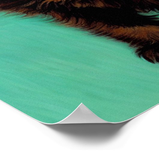 Van Gogh Black Cat Red Blume Poster (Ecke)