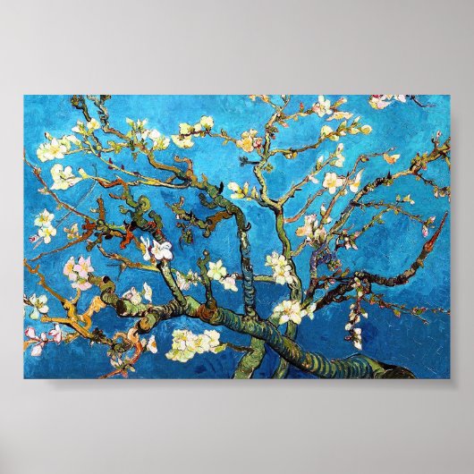 Van Gogh Blossomation Almond Tree Kunstvoll wander Poster (Vorne)
