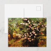 Van Gogh - blühende Rose Bush Postkarte (Vorne/Hinten)