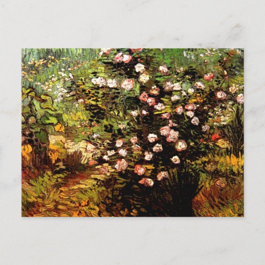 Van Gogh - blühende Rose Bush Postkarte (Vorderseite)