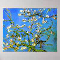 Van Gogh blüht Mandelbaumzweige