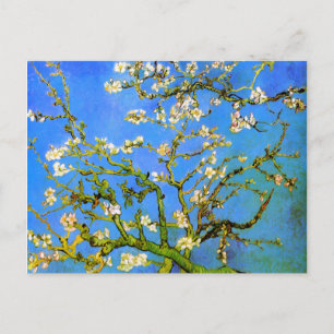 Van Gogh blüht Mandelbaumzweige Postkarte