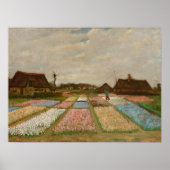 Van Gogh Blume Beds in Holland Old Art Poster (Vorne)