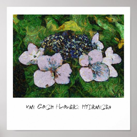 Van Gogh Blume: Hydrangea Poster (Vorne)