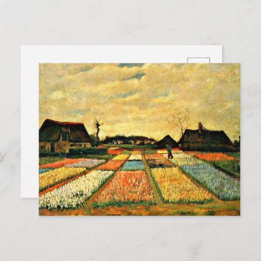 Van Gogh - Blume in Holland Postkarte (Vorne/Hinten)