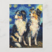 Van Gogh Border Collies Postkarte (Vorderseite)