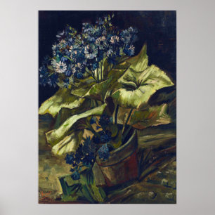 Van Gogh Cineraria in einem Blumentopf Poster