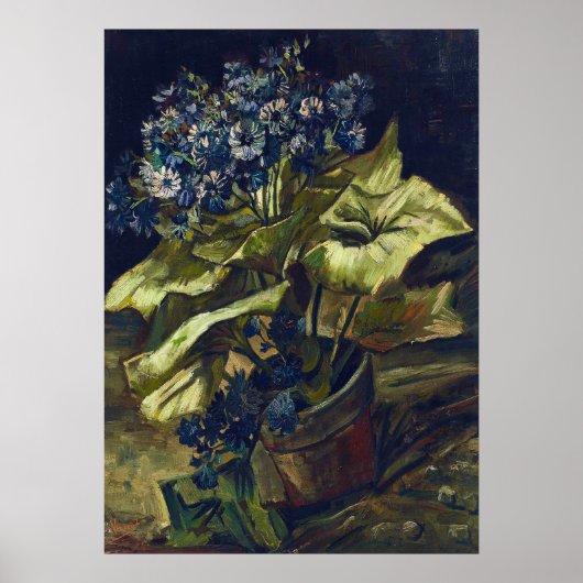 Van Gogh Cineraria in einem Blumentopf Poster (Vorne)