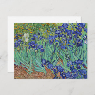 Van Gogh Classic Painting Irises Floral Botanical Postkarte