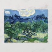 Van Gogh Das Olive Trees Landschaftsbild Postkarte (Vorderseite)