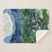 Van Gogh Das Olive Trees Landschaftsbild Sherpadecke (Vorderseite (Horizontal))