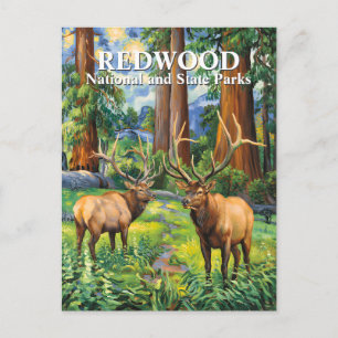 Van Gogh-Elch-Rotwald-Kalifornien-Wald Individuell Postkarte