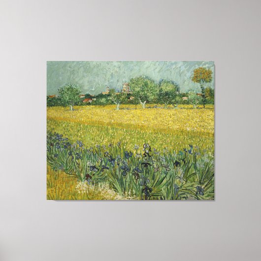 Van Gogh Field mit Blume in der Nähe von Arles Leinwanddruck (Vorderseite)