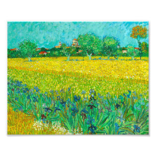 Van Gogh Field mit Irische in der Nähe von Arles Fotodruck