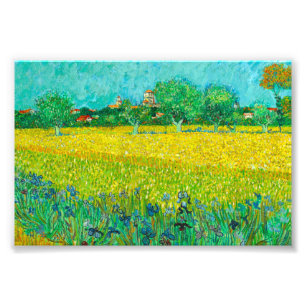 Van Gogh Field mit Irische in der Nähe von Arles Fotodruck