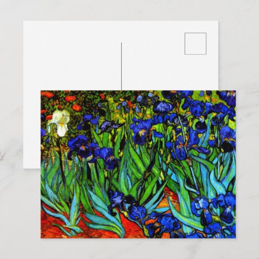 Van Gogh Gemälde, Ire, Postkarte (Vorne/Hinten)