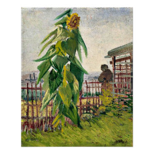 Van Gogh - Gemüsebeet mit Sonnenblume Poster