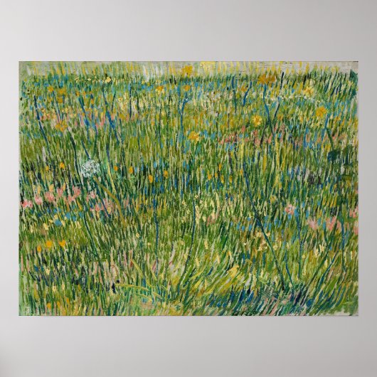 Van Gogh - Graspflaster Poster (Vorne)
