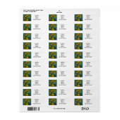 Van Gogh Imperial Fritillaries (Vorne)