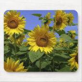 Van Gogh in der Provence Mousepad (Vorne)