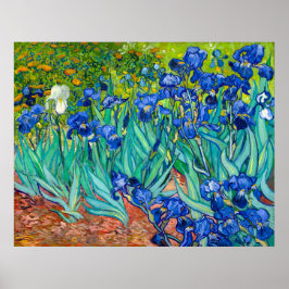 Van Gogh, Ire, Les Iris, 1889 Poster