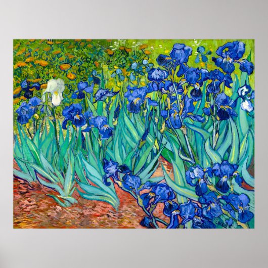 Van Gogh, Ire, Les Iris, 1889 Poster (Vorne)
