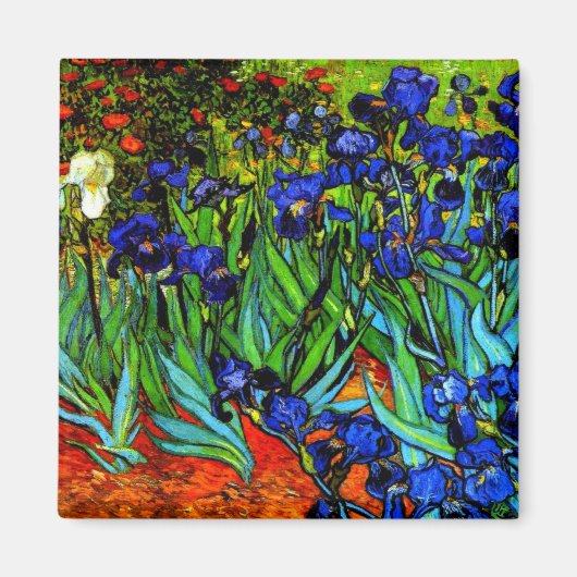 Van Gogh - Ire Magnet (Vorne)