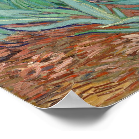 Van Gogh - Ire Poster (Ecke)