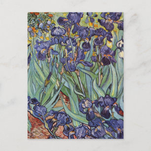Van Gogh Iris Impressionistische Malerei Postkarte