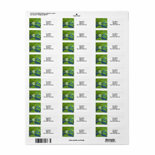 Van Gogh Irises (Vorne)