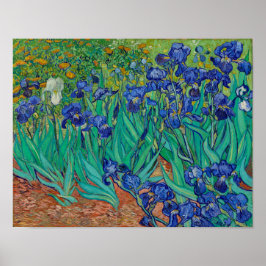Van Gogh Irises Bloral Painting Poster