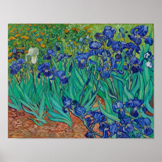 Van Gogh Irises Bloral Painting Poster (Vorne)