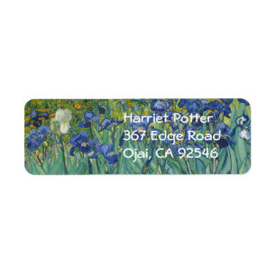 Van Gogh Irises (F608) Fine Art