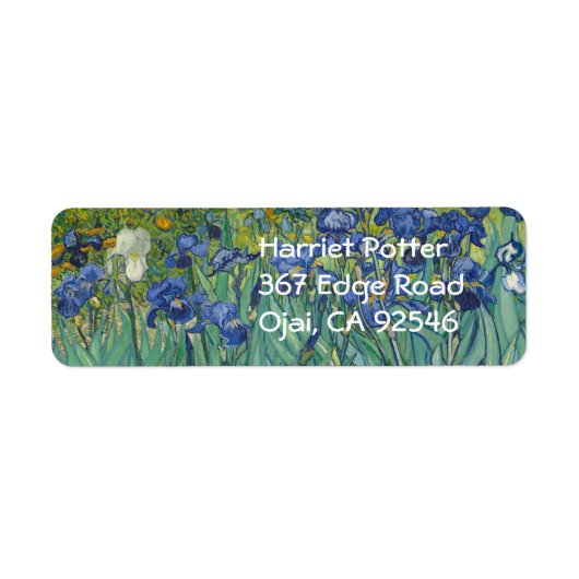 Van Gogh Irises (F608) Kunstwerk (Vorne)