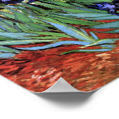 Van Gogh Irises (F608) Vintage Kunstkunst Poster (Ecke)