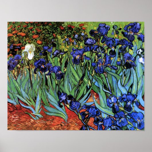 Van Gogh Irises (F608) Vintage Kunstkunst Poster (Vorne)