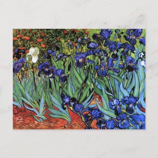Van Gogh Irises (F608) Vintage Kunstkunst Postkarte (Vorderseite)
