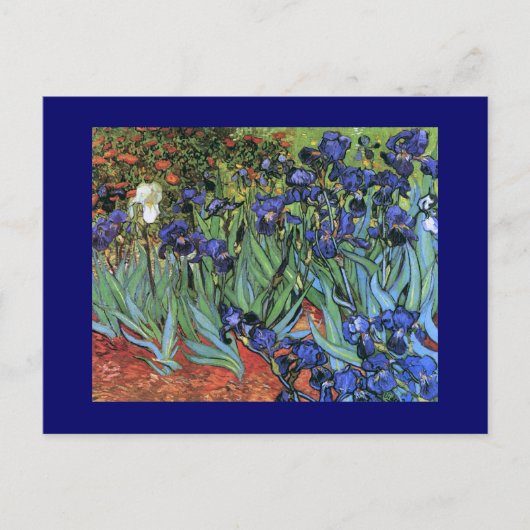 Van Gogh Irises (F608) Vintage Kunstkunst Postkarte (Vorderseite)